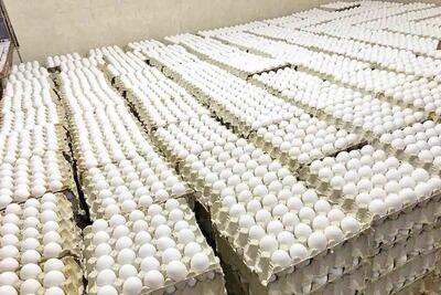 ماهانه ۱۰۵ تا ۱۰۷ هزار تن تخم مرغ در کشور تولید می‌شود