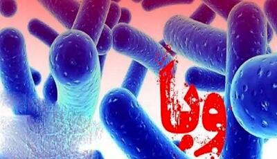 هر آنچه که باید درباره بیماری وبا بدانید!