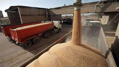 تحویل بالغ بر ۲۷ هزار تن گندم در تایباد