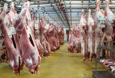 رشد 14 برابری قیمت گوشت در 7 سال