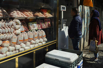 قیمت انواع مرغ در بازار ۱۳ تیر ۱۴۰۳ /جدول