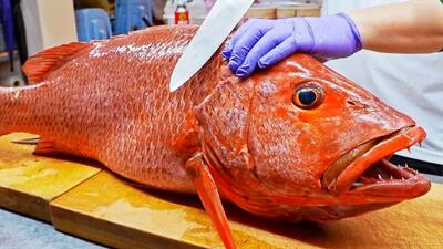 مهارت جالب آشپز چینی در برش و پخت ماهی قرمز اسناپر (فیلم)