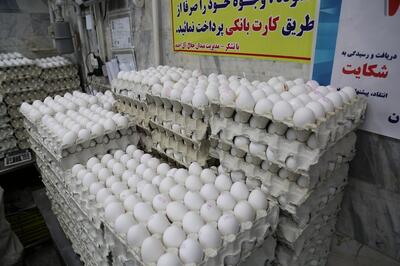 قیمت تخم مرغ در بازار های میوه و تره بار چقدر است؟
