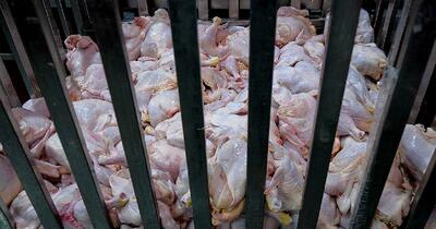 این استان‌ها بیشترین میزان خرید گوشت مرغ را داشته‌اند