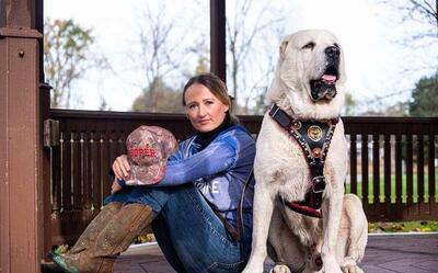 (تصاویر) سگ آلابای؛ سگی که پوتین عاشق آن است و نماد غرور ملی ترکمنستان است