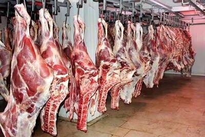 قیمت گوشت گوسفندی در بازار