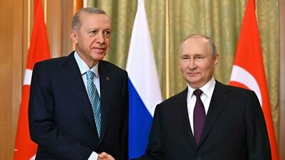 نیروگاه‌های هسته‌ای محور اصلی گفت‌وگوی پوتین و اردوغان
