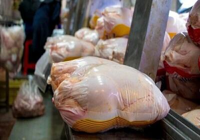 روند قیمت گوشت مرغ کاهشی شد