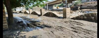خسارت سیلاب به ۱۳۴ مسکن در سوادکوه