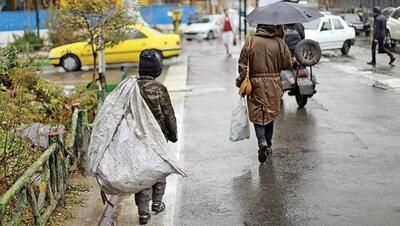 آمار و ارقام دقیقی از کودکان کار در ایران نداریم /  ۸۰ درصد  از این کودکان خانواده دارند /  ۵۰ تا ۶۰ درصد کودکان کار  نان‌آور خانواده هستند