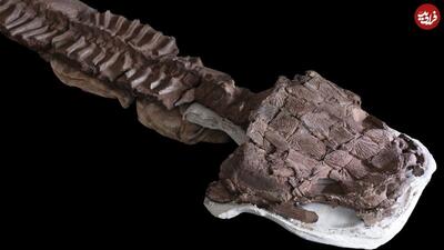 هیولایی که 40میلیون سال قبل از دایناسورها زندگی می‌کرد