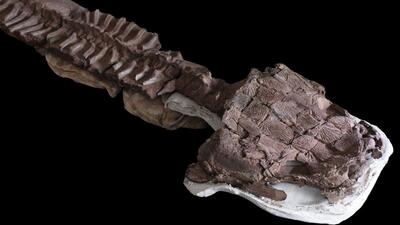 هیولایی که 40 میلیون سال قبل از دایناسورها زندگی می‌کرد