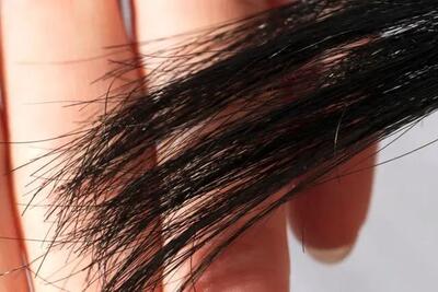 راهکار طلایی برای جلوگیری از دوشاخه شدن مو