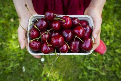 چگونه میوه‌های تابستانی را فریز کنیم؟ راهنمای کامل فریز کردن انواع میوه ها - خبرنامه