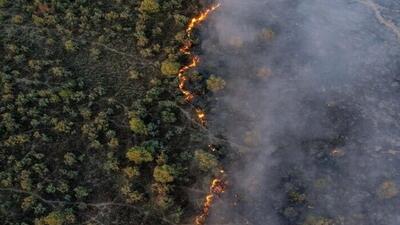 آتش در کمین جنگل‌های ارسباران