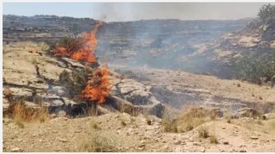 مهار آتش در عرصه‌های طبیعی قلعه‌نادر شهرستان بهمئی