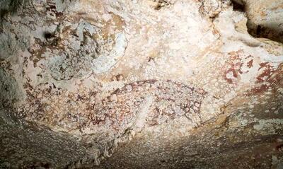 (تصاویر) کشف قدیمی‌ترین غارنگاره جهان