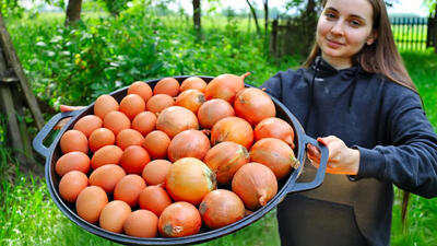 (ویدئو) غذا روستایی در اوکراین؛ پخت یک کوکوی سیب زمینی محلی