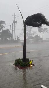 طوفان مرگبار در راه مکزیک برق صدها هزار خانه را در جامائیکا قطع کرد