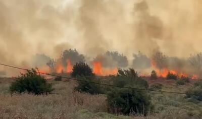 ضربات حزب‌الله به اسرائیل؛ آتش گرفتن 8700 هکتار در شمال اراضی اشغالی | خبرگزاری بین المللی شفقنا
