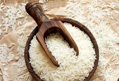 کاهش قیمت برنج ایرانی/ جدیدترین محصول شالیزارها چند؟