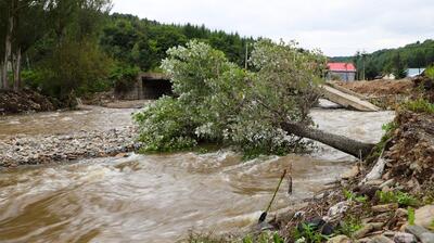 سیلاب تابستانی در روستای گزنه در نزدیکی دماوند (فیلم)