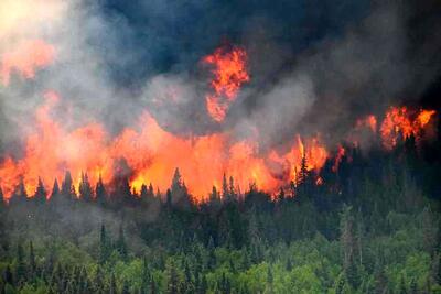 آتش‌سوزی‌های بی‌سابقه کانادا در سال ۲۰۲۳ | اقتصاد24