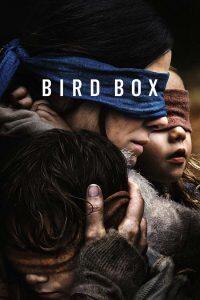 معرفی فیلم جعبه پرنده -  Bird box