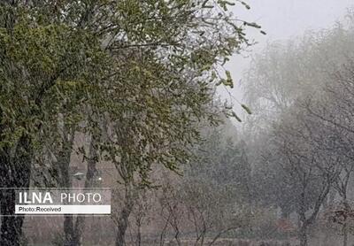 رگبار باران و رعدوبرق طی امروز و فردا در برخی استان‌ها