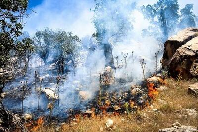 زاگرس در سکوت خبری می‌سوزد / تغییر آب‌وهوا و کاهش بارندگی تبعات آتش‌سوزی جنگل‌ها