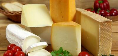 پنیر کلبه در رژیم لاغری موثر است!