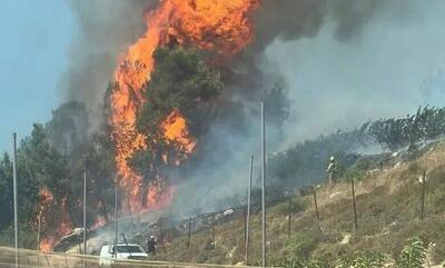 شهرک‌نشینان صهیونیست اراضی فلسطینیان را در رام‌الله به آتش کشیدند + فیلم