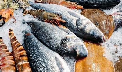 قیمت انواع ماهی در بازار ۱۷ تیر ۱۴۰۳ /جدول