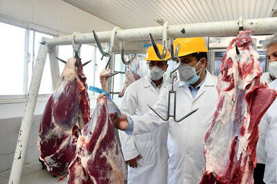 الزام جدید برای واردات گوشت