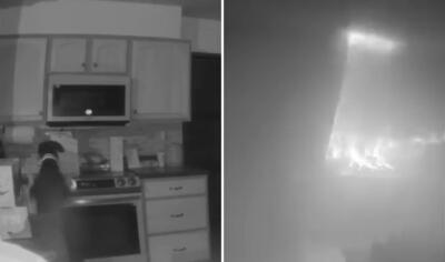 (ویدئو) سگی که اجاق گاز را روشن کرد و باعث آتش‌سوزی شد
