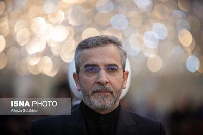 باقری: استقبال کشورهااز انتخاب مردم ایران، در امتداد سیاست‌ورزی شهید امیرعبداللهیان است