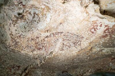 قدیمی‌ترین نقاشی انسان کشف شد، با قدمت ۵۰ هزار سال / عکس