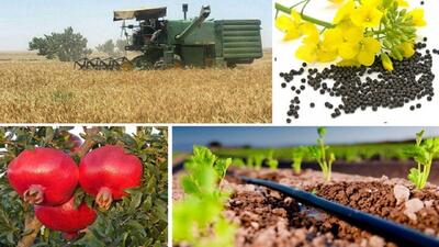 نرخ خرید تضمینی محصولات کشاورزی هفته آینده اعلام می‌شود