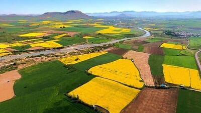 رفع تداخل بیش از ۲۳۲ هزار هکتار از اراضی کشاورزی آذربایجان غربی