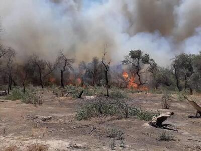 شعله ور شدن دوباره آتش در جنگل کرخه | اقتصاد24
