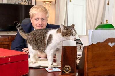 گربه نخست وزیر انگلیس در پست خود ابقا شد! + عکس