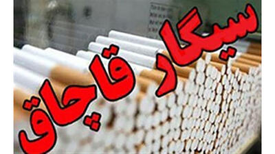 کشف 15 میلیارد تومان دخانیات قاچاق در جنوب تهران