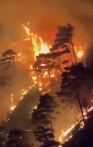آتشسوزی در جنگلهای ساحل دریای سیاه در مجاورت روسیه