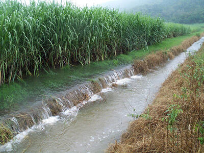 ضرورت کاهش مصرف آب در بخش کشاورزی باهدف تامین حقابه تالاب‌ها