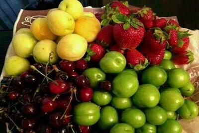 قیمت میوه و تره بار در بازار ۱۹ تیر ۱۴۰۳ /جدول