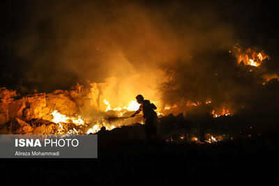 آتش سوزی گسترده در منطقه حفاظت شده «خائیز» کهگیلویه/ نیاز فوری برای کمک