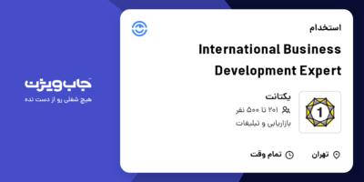 استخدام International Business Development Expert در یکتانت