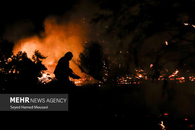 آتش‌سوزی جنگل های خائیز  در حال گسترش است/ نیاز فوری به کمک