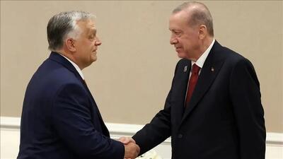 دیدار اردوغان و اوربان پشت درهای بسته