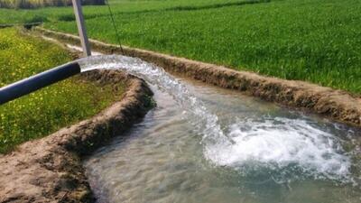 افزایش سهمیه آب کشاورزان قزوینی از سد طالقان+ فیلم